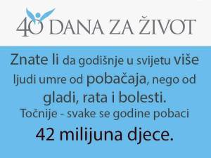 12009810_1704433319793111_7784600164244161051_n