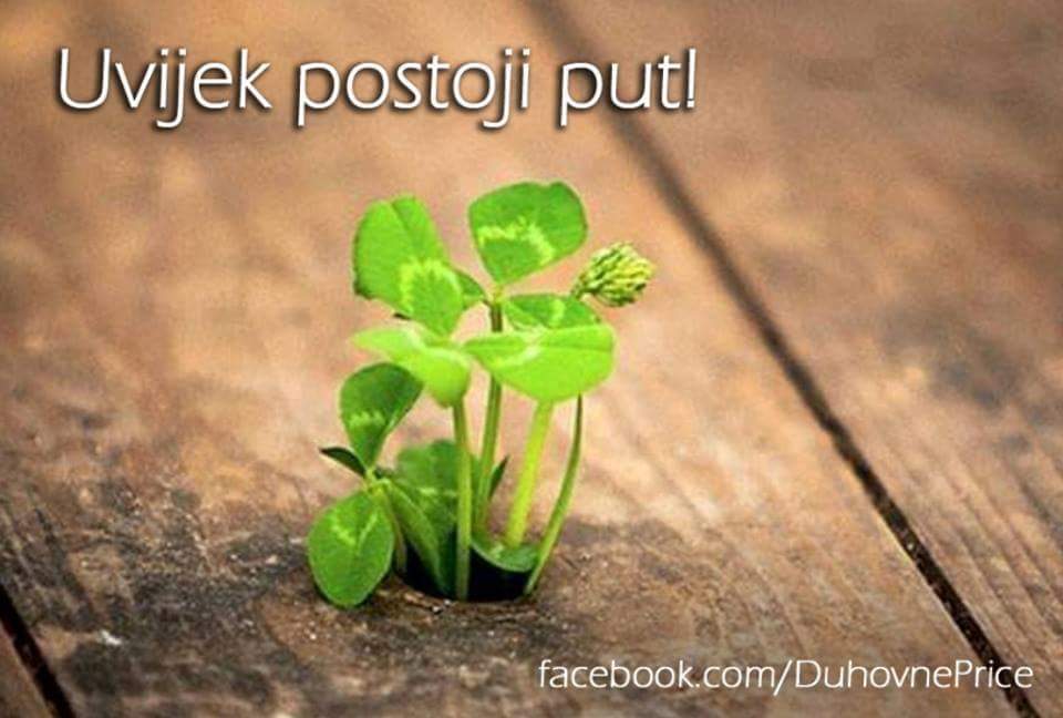 13532874_10154266482972748_531584162838034526_n