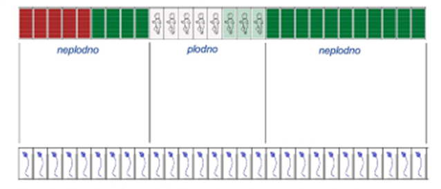 Usporedba razdoblja muške i ženske plodnosti